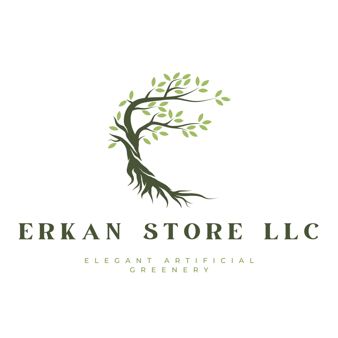 The Story Behind ERKAN STORE LLC