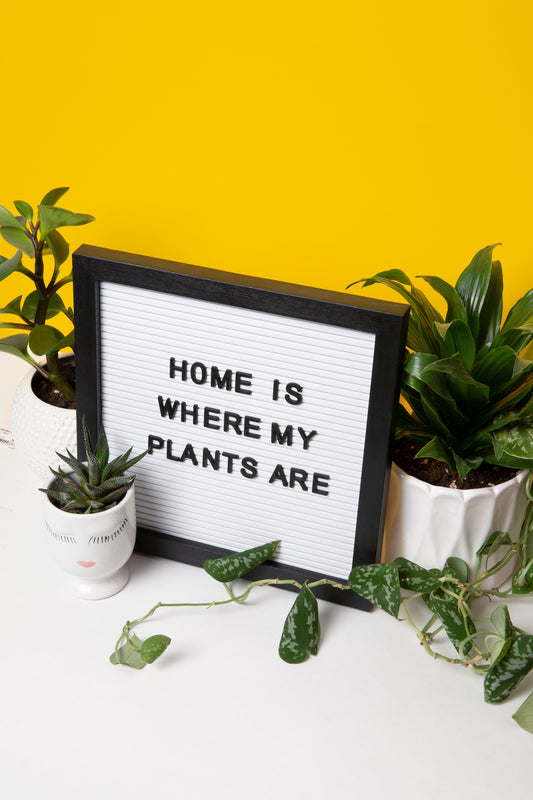 The Benefits of Artificial Plants for Modern Living