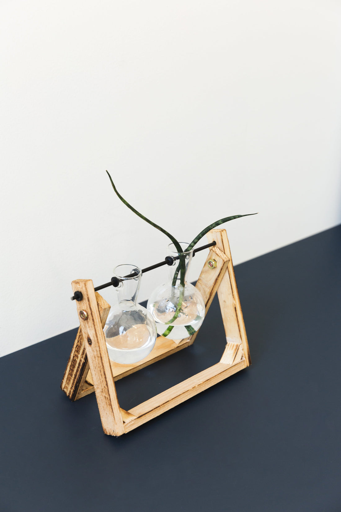 Artificial Plants vs. Real Plants: Which Is Right for You?