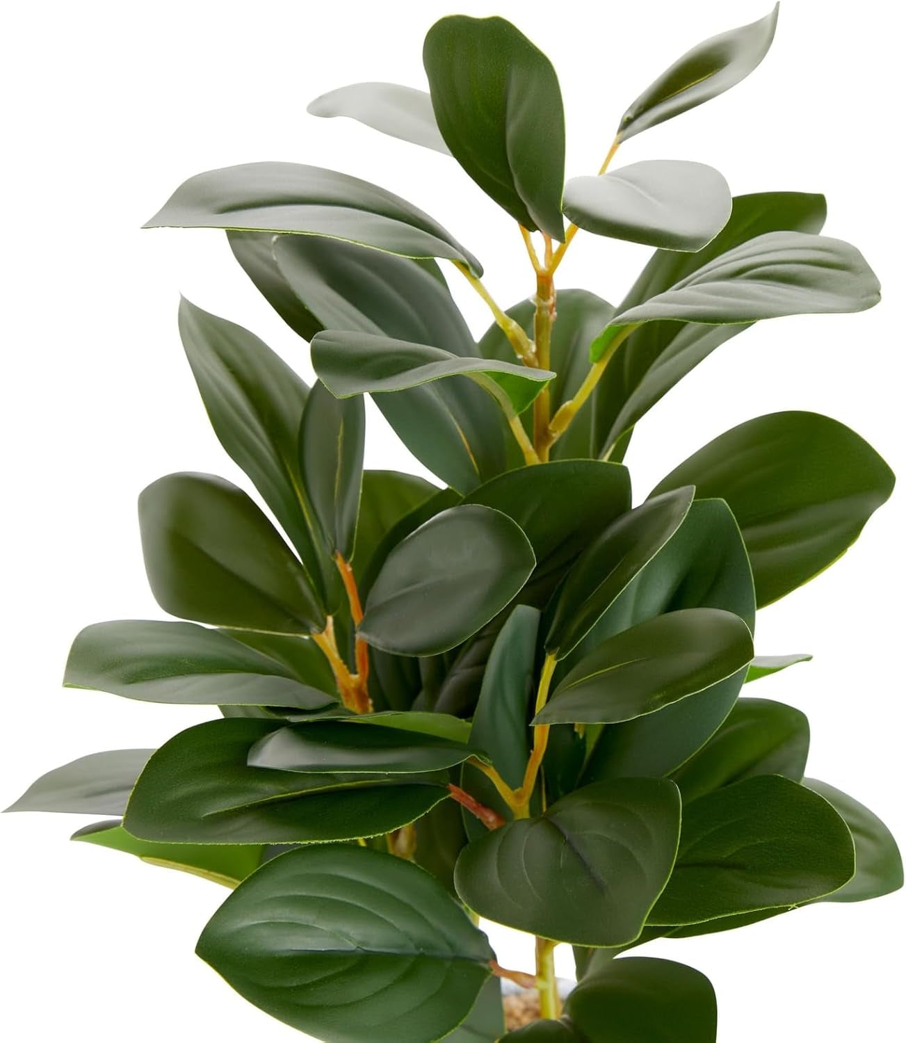 Small Artificial Ficus Plant Potted in Small Gray Cement Planter for Home Decor (11.8 In)