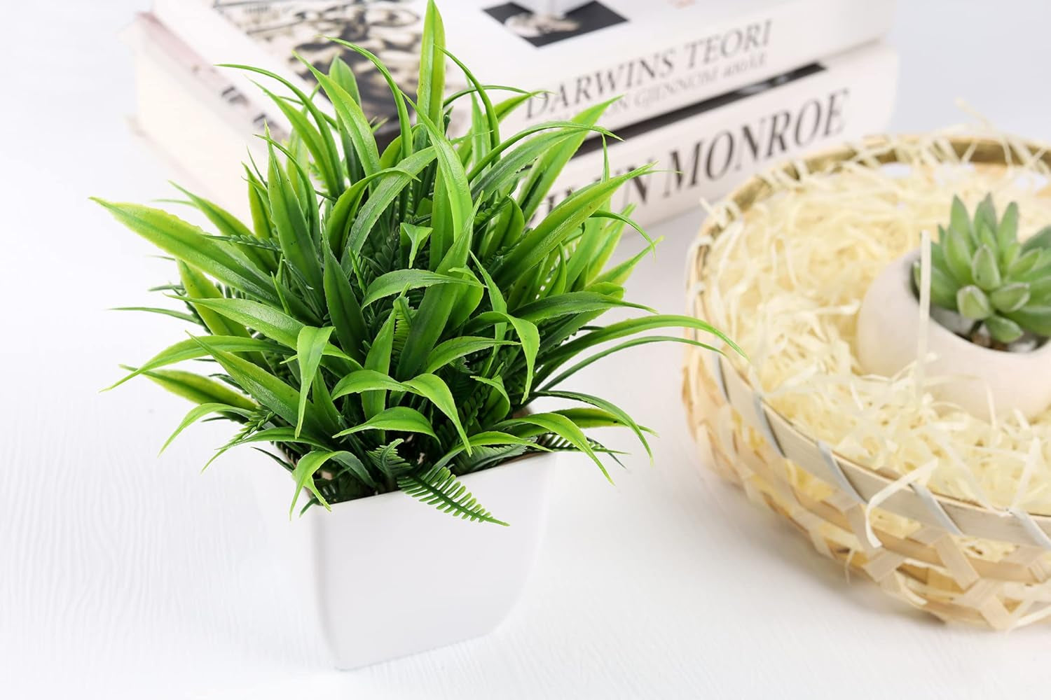 2 Pack Small Fake Plants Mini Artificial Potted Plants for Table Desk Home Bathroom Office Decor