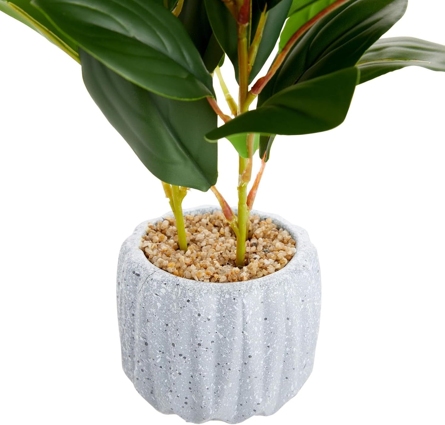 Small Artificial Ficus Plant Potted in Small Gray Cement Planter for Home Decor (11.8 In)