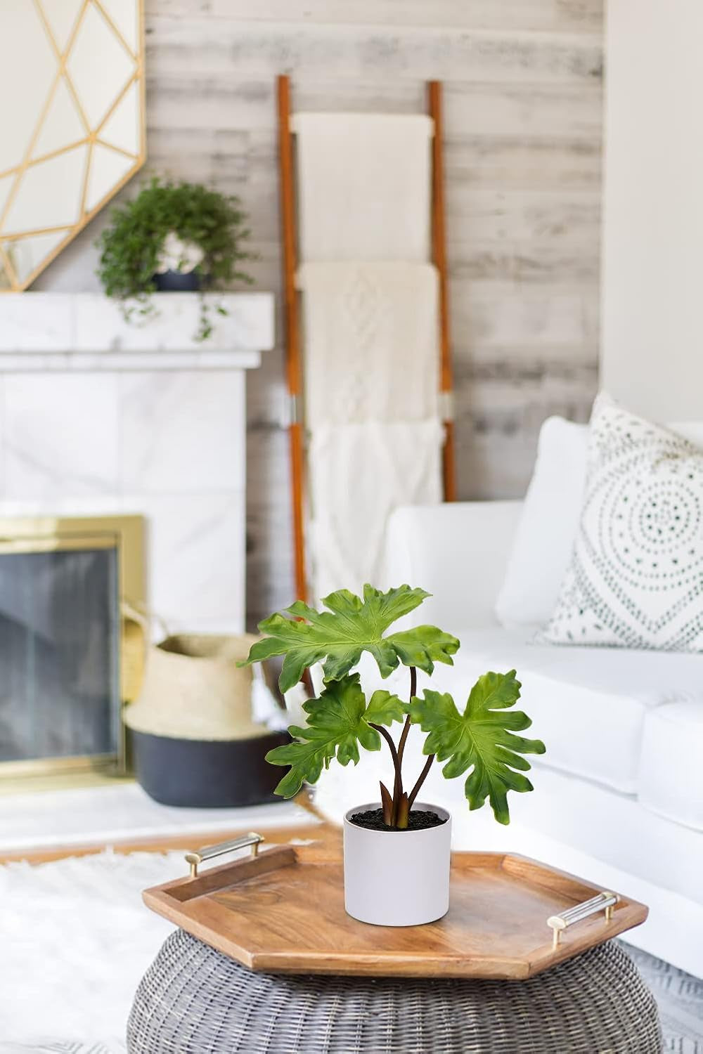 Fake Plants Set of 2 Artificial Potted Plants Faux Plants Begonia Plants in White Pots Real Touch Leaves for Office Table Desk Shelf Bathroom Bedroom Greenery Decoration Home Indoor Decor