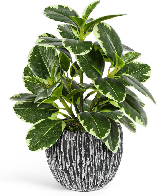 Artificial Plants Indoor Outdoor, Faux Variegated Oak Leaf Plant, Fake Potted Plants Artificial Decor for Coffee Table Desk Shelf, Faux Plants Indoor for Living Room Bathroom Bedroom Entryway Office