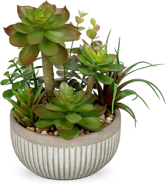 Small Faux Plant Assorted Fake Succulents Plants Faux Succulents Arrangement Cement Potted Desk Plants Small Fake Plants for Home Table Office Bathroom Shelf Living Room Decor