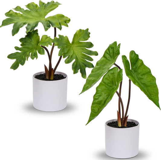 Fake Plants Set of 2 Artificial Potted Plants Faux Plants Begonia Plants in White Pots Real Touch Leaves for Office Table Desk Shelf Bathroom Bedroom Greenery Decoration Home Indoor Decor